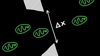 Heisenbergs Uncertainty Principle Explained [upl. by Clements912]