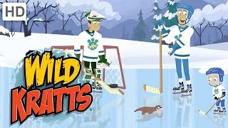 Wild Kratts ❄️ An Icy Holiday Adventure 🏒  Kids Videos [upl. by Kermit]