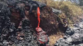 Kīlauea Volcano — Lava Oozing [upl. by Bina]