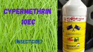 Cypermethrin 10 EC Insecticide  Uses amp Mode of Action  UrduHindi [upl. by Franklin]