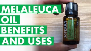 Melaleuca Oil Essential Tea Tree Benefits And Uses [upl. by Ennirak]