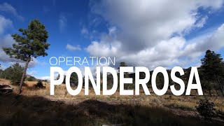 Restoring the Ponderosa Pines [upl. by Meraree]