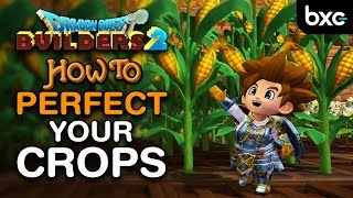 How to make the PERFECT Crop Fields  Most efficient  Dragon Quest Builders 2 [upl. by Mandie554]