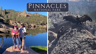 Pinnacles National Park  High Peaks Trail and Condors [upl. by Hemminger]