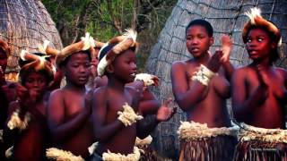 Beautiful Traditional African Zulu Dancing Africa Travel Channel [upl. by Zandt]