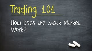 Trading 101 How Does the Stock Market Work [upl. by Ennis707]