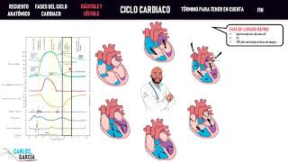 CICLO CARDÍACO ¡fácil explicación  Mentes Médicas [upl. by Bucher]