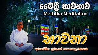 Bawana Maithri Bawana මෛත‍්‍රී භාවනාව  Gampaha Mahanama Thero [upl. by Ynnaf]