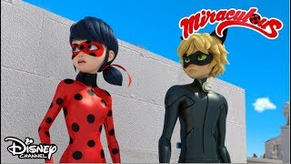 La film  Miraculous Buburuza și Motan Noir  Disney Channel România [upl. by Melosa]