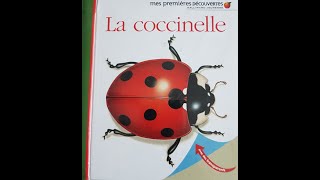 La coccinelle  album documentaire [upl. by Bocaj]