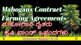 Contract Farming Mahogany Plantation Farmers [upl. by Ecilef]