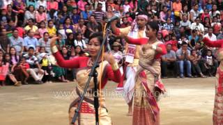 Bihu dance from Assam [upl. by Novanod]