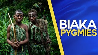 Biaka Pygmies ​of the Zaire rainforest Documentary about the former Belgian Congo [upl. by Legra]