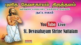 StDevasahayam Shrine Nattalam [upl. by Romulus47]