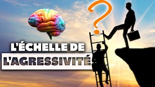 Léchelle de lAgressivité en Psychologie expliquée SIMPLEMENT [upl. by Tima]