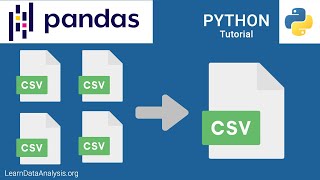 Combine CSV files using Python [upl. by Niamjneb]