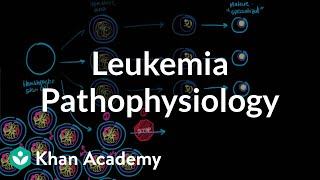 Leukemia pathophysiology  Hematologic System Diseases  NCLEXRN  Khan Academy [upl. by Enirhtak]