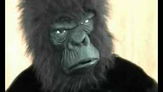 Cadburys Gorilla Advert Spoof [upl. by Elna]