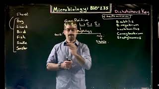 Making your Dichotomous Key [upl. by Assilana]