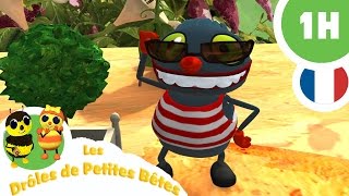 DRÔLE DE PETITES BÊTES  1 Heure   Compilation 01 [upl. by Shreve]