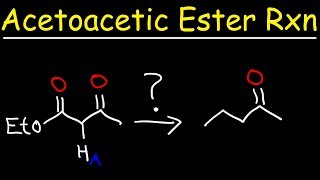 Acetoacetic Ester Synthesis Reaction Mechanism [upl. by Rodney]