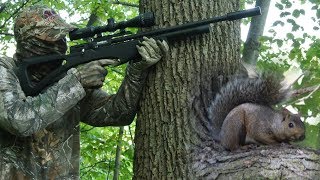 Airgun HuntingHow to Hunt Squirrels with an Air Rifle [upl. by Okiek]