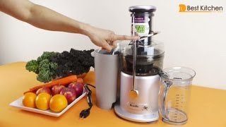 Breville JE98XL Juice Fountain Plus 850Watt Juice Extractor Review [upl. by Trinette272]