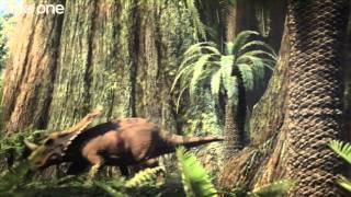 Tyrannosaur Rivalry  Planet Dinosaur  Episode 3  BBC [upl. by Rellek]