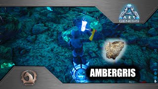 Ark Survival Evolved  Ambergris [upl. by Nrehtak]