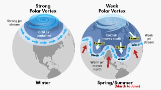 Polar Vortex  How its formed amp When it is dangerous  Indepth Explained [upl. by Ferdinana]