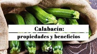 Calabacín propiedades beneficios y valor nutricional [upl. by Skipp]