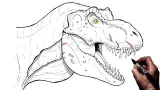 How to Draw a Tyrannosaurus Rex  Step By Step [upl. by Ahsatsan]