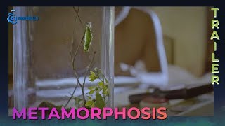 Metamorphosis Movie Trailer  Cinema One Originals 2019 [upl. by Halbert]