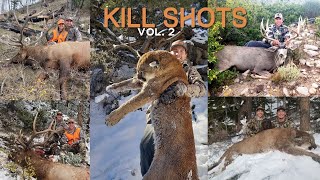 UNREAL HUNTING KILL SHOT COMPILATION Vol 2 [upl. by Atsirc]