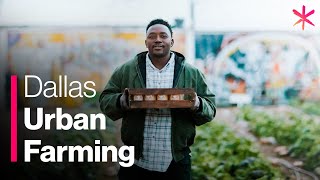 How Urban Farming Saved a Dallas Community [upl. by Wendin131]