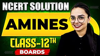 AMINES  NCERT Solutions  Chemistry Chapter 10  Class 12th Boards [upl. by Port235]