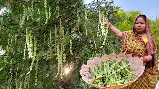 बबूल की फली की सब्जी जो हमारे पूर्वजों के भोजन की याद दिला देती है BABUL KI SABJI RECIPE [upl. by Jojo]