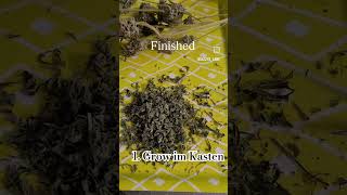 1 Kasten Grow finishen [upl. by Lanrev]