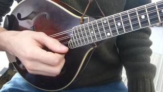 Learn To Play Tremolo  Mandolin Lesson [upl. by Ventre]