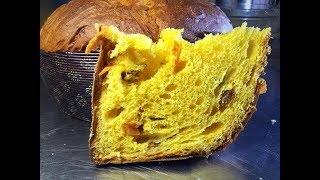 Panettone agrumi ricetta Maestro Alfonso Pepe  Primo impasto lievito madre [upl. by Quintina]