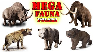 Prehistoryczne MEGA Zwierzęta Polski [upl. by Mukerji124]