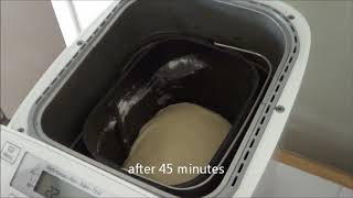 Panasonic SD2501 Breadmaker  Sweet Dough Bread Making with Recipe [upl. by Volny885]