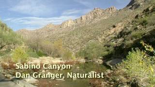 Sabino Canyon Tucson Arizona [upl. by Gaal]