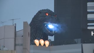 ゴジラの頭が歌舞伎町に出現 特別住民票交付、新宿観光特使に quotReal scalequot Godzilla head installed [upl. by Larrie]