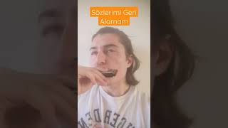 Sözlerimi Geri Alamam MızıkaHarmonica [upl. by Postman]