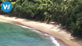 Tobago traveldocumentary from the season quotCaribbean Momentsquot [upl. by Hsina470]