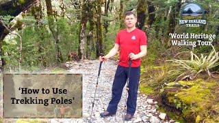 How to Use Trekking Poles [upl. by Ahsaeym]