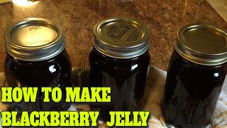 BLACKBERRY JELLY  STEP BY STEP  EASY…DELICIOUS RECIPE [upl. by Oniluap]