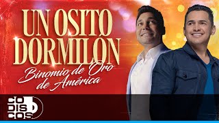 Un Osito Dormilón Binomio De Oro De América  Vídeo [upl. by Jobie]