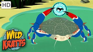 Wild Kratts  House Keeping Creature Power Disk [upl. by Stasny230]